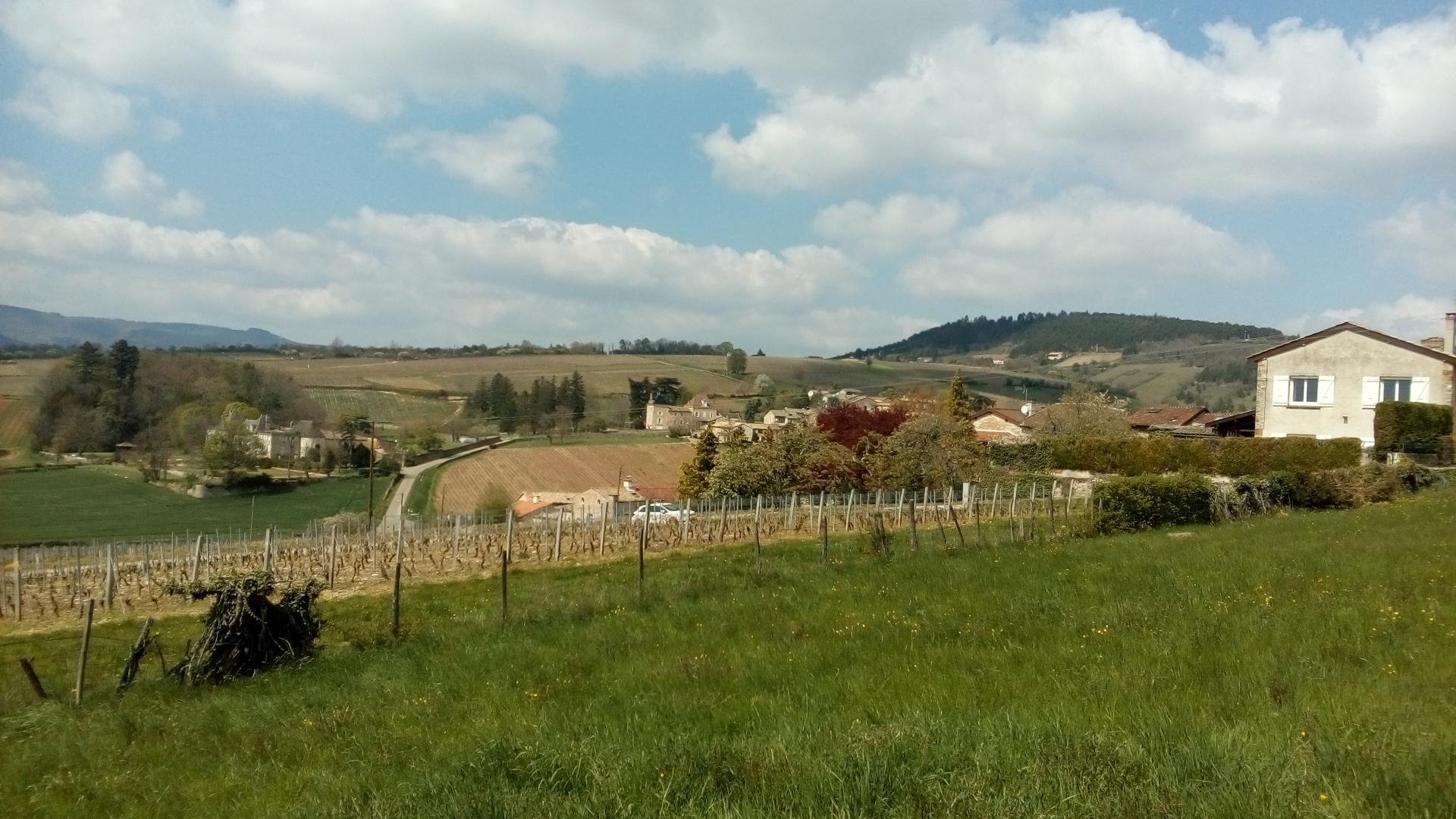 Prissé (Beaujolais - 14 avril 2019)